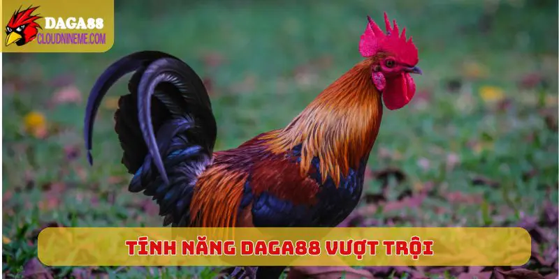 Daga88 5 Tính năng Daga88 vượt trội so với những thương hiệu trên thị trường